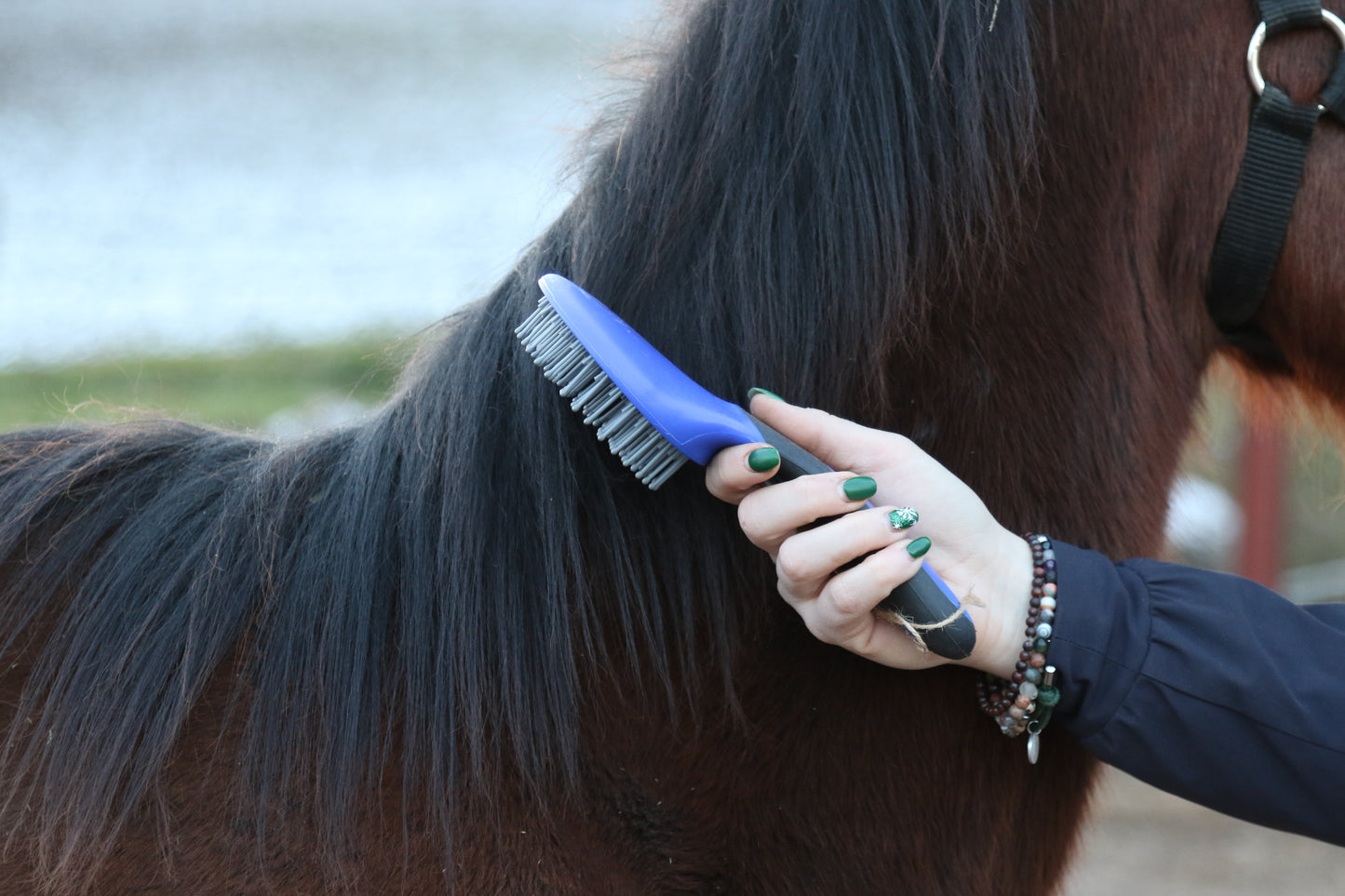 BROSSE A CRIN | Gamme du Maréchal | Bleu