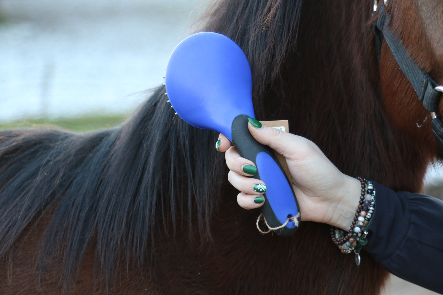 BROSSE A CRIN | Gamme du Maréchal | Bleu