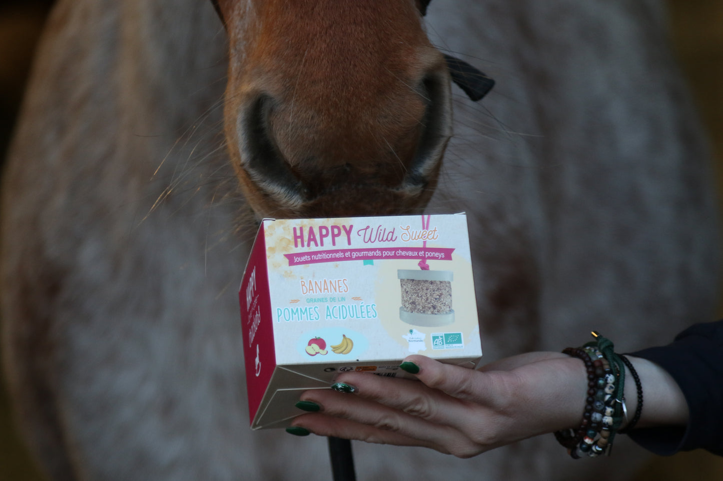 HAPPY WILD | SWEET | Happy crackers